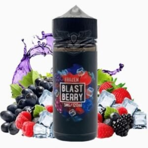 عبوة نكهة بلاست بيري ايس Blast Berry Frozen من سامز فيب بحجم 120 مل عبوة نكهة بلاست بيري ايس Blast Berry Frozen من سامز فيب بحجم 120 مل