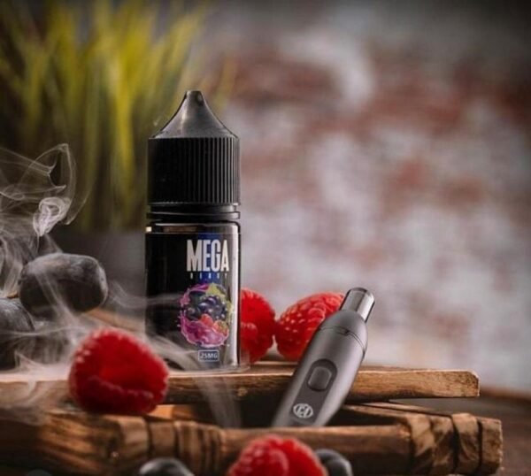عبوة نكهة سولت ميجا بيري توت مشكل MEGA BERRY سعة 30 مل عبوة نكهة سولت ميجا بيري توت مشكل MEGA BERRY سعة 30 مل